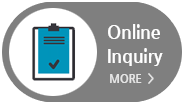 Online Inquiry