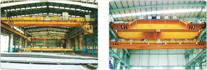 Double girder hoist crane