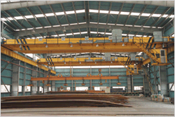 Double girder hoist crane