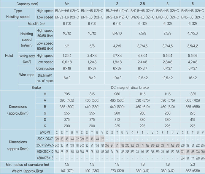 Regular Type Hoist with Chain Trolley