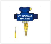 Regular Type Hoist with  Chain Trolley