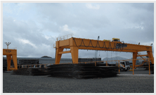 رافعةمتحركة مزدوجةالعارضة