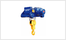 النوع ذو القضيب الأحادي